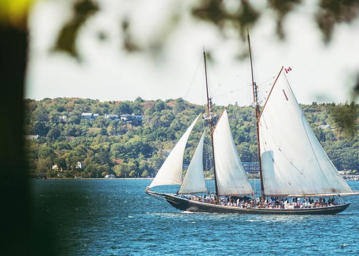 The tourist filled Bluenose II, a replica of the famous racing schooner, sails past the tree-lined hills of Lunenburg Harbour.