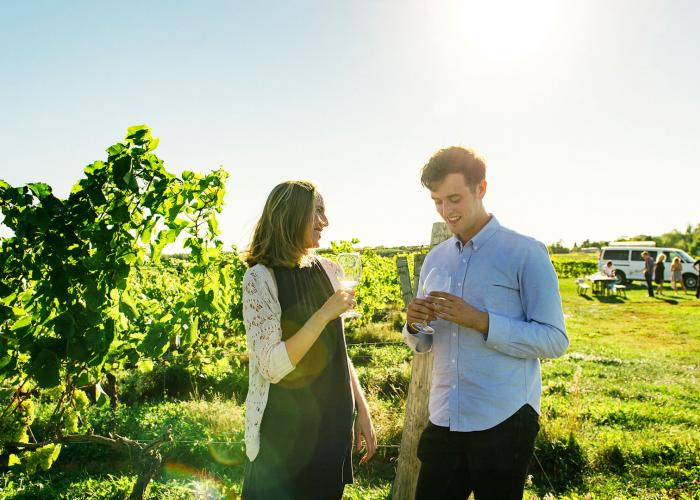 A smiling couple candidly samples white wine in a vineyard at a Nova Scotia winery while a group picnics in the foreground. 