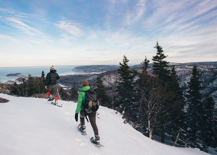 A couple snowshoes past evergreen and birch trees along a snow-covered bluff overlooking mountains, trails, and the Atlantic.