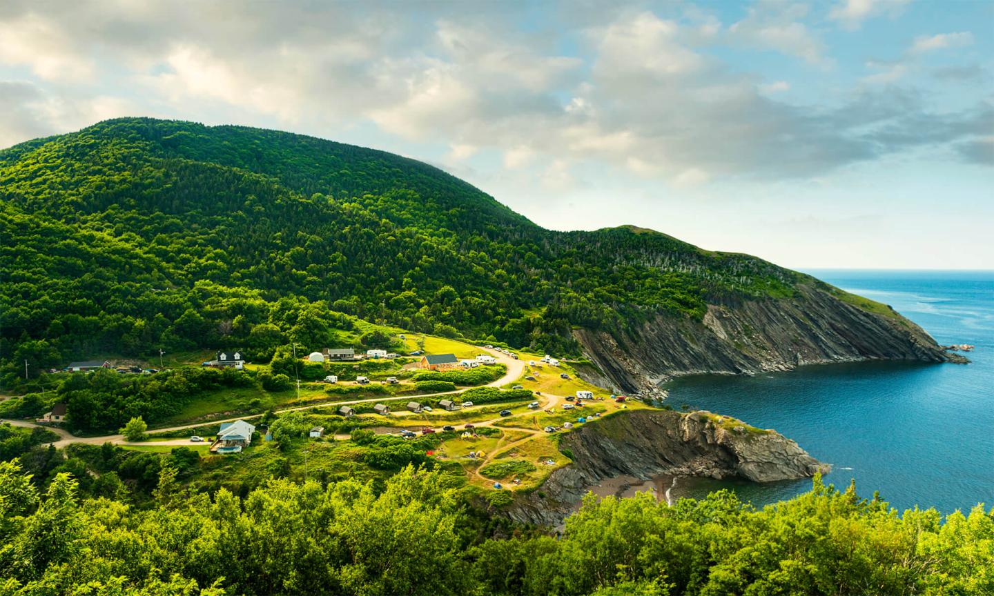 A lush green hillside overlooking a rocky ocean cove.