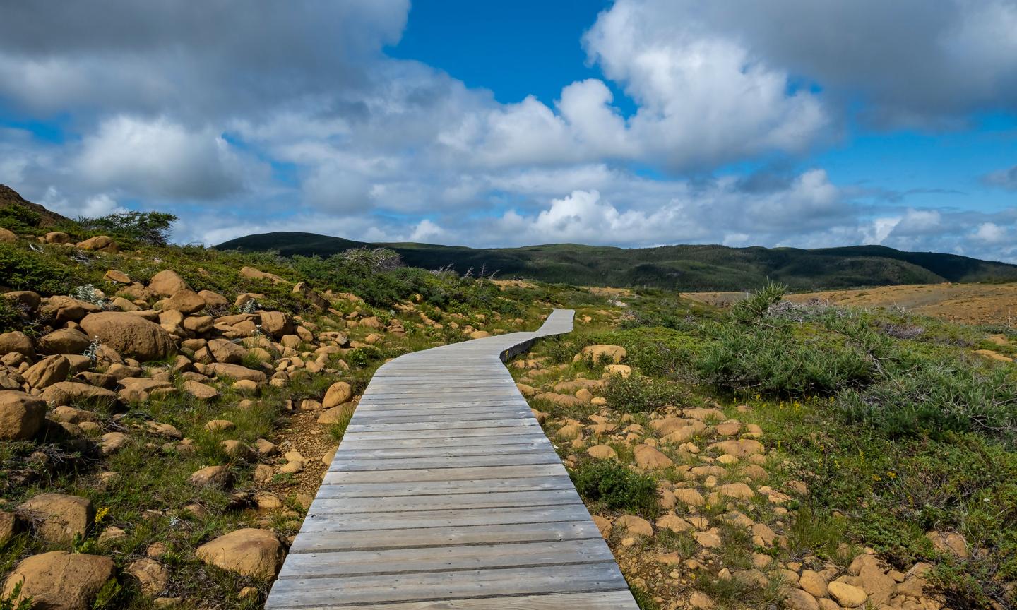 A wooden boardwalk trail winding through a rugged landscape of boulders and low shrubs toward rolling green hills.