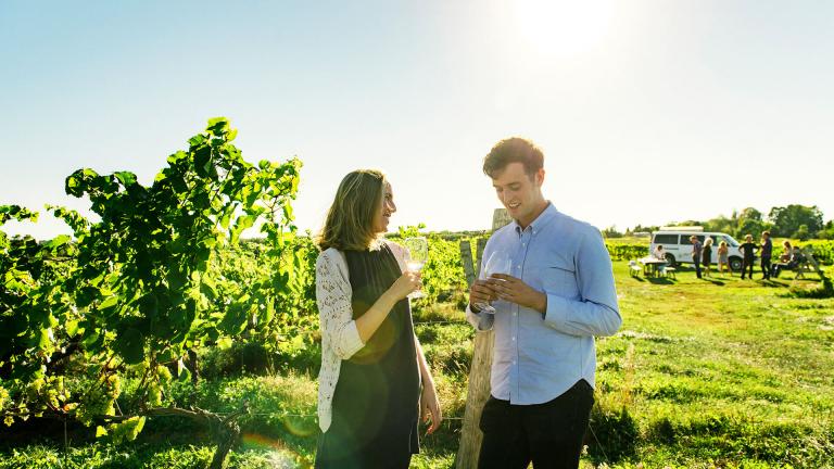 A smiling couple candidly samples white wine in a vineyard at a Nova Scotia winery while a group picnics in the foreground. 