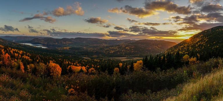 overlooking fall foliage in the valley