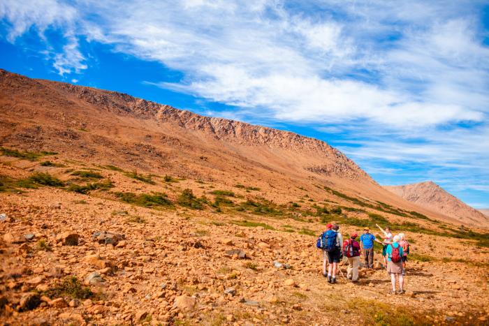 group of hikers walk through desert-like environment