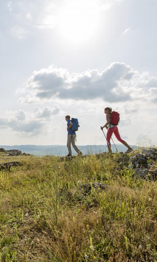 Brimstone Head Trail