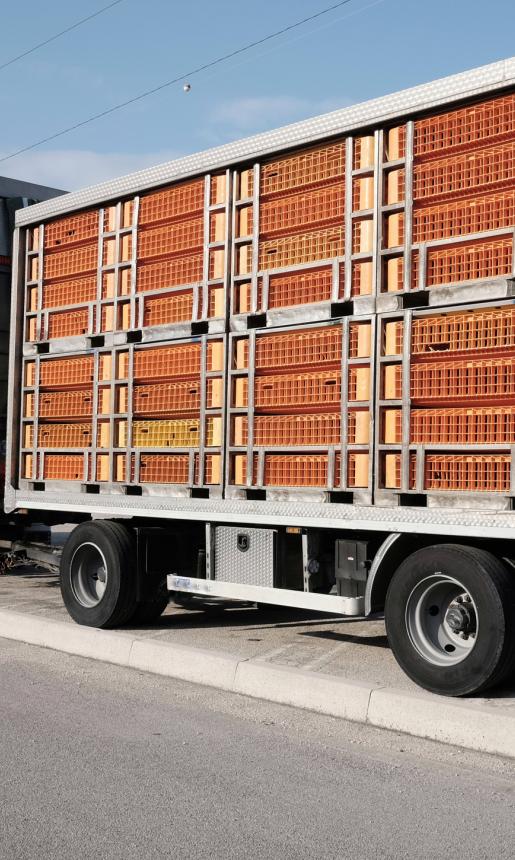 Livestock truck trailer.