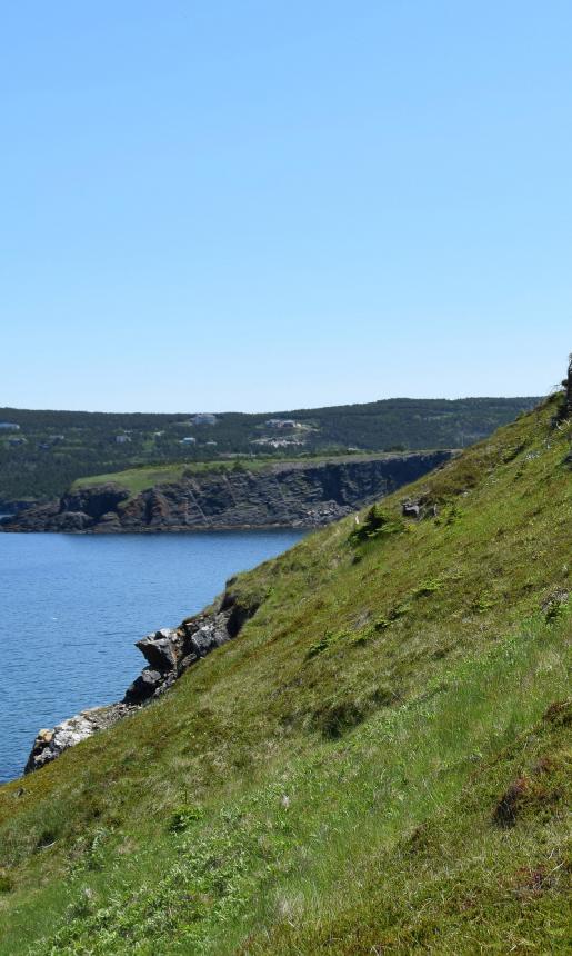 Terra Nova National Park