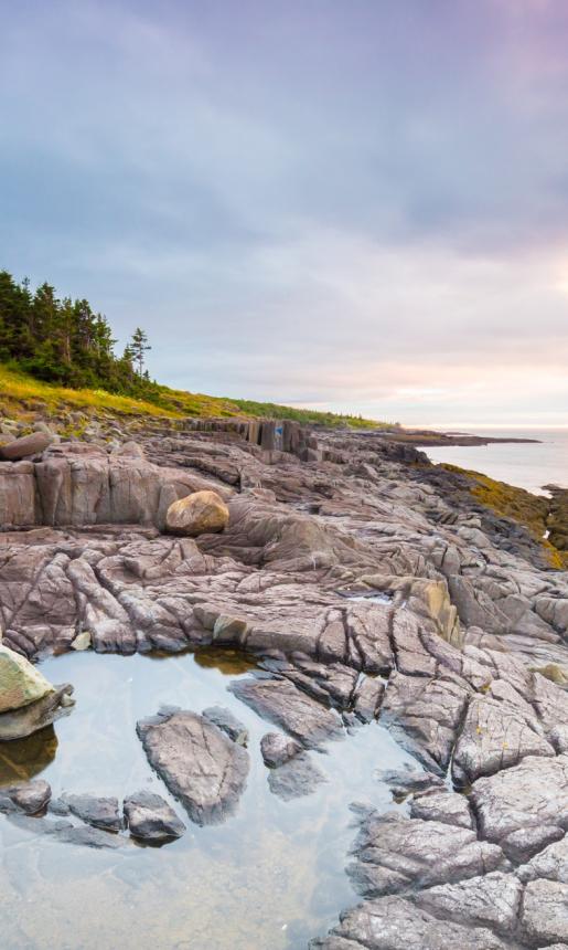 Nova Scotia Coast