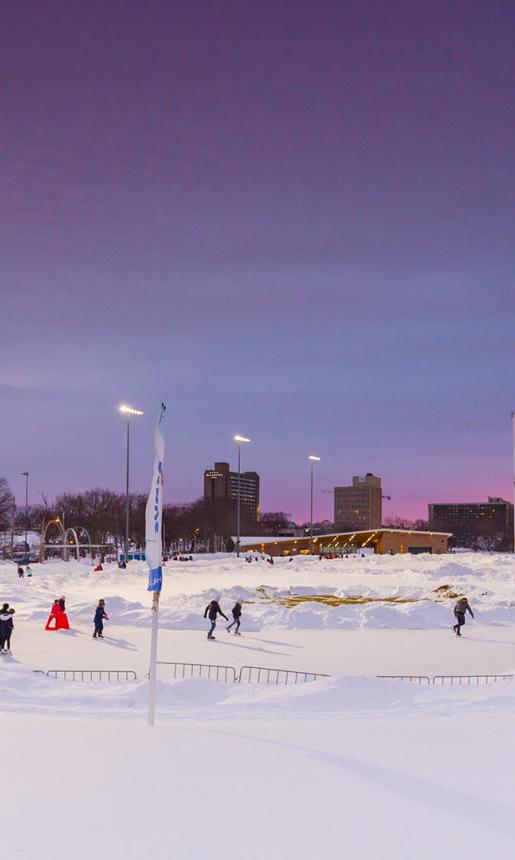 Skating at the Oval