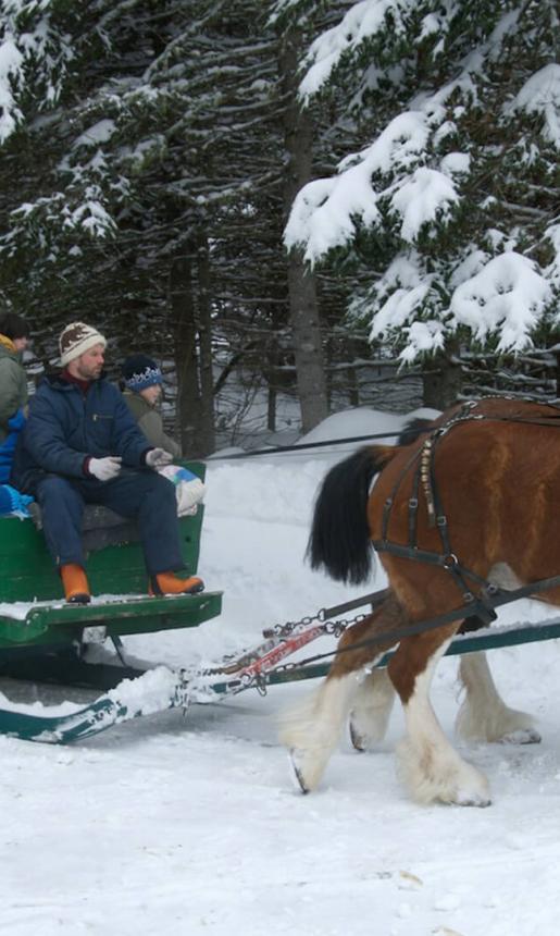 Sleigh Rides