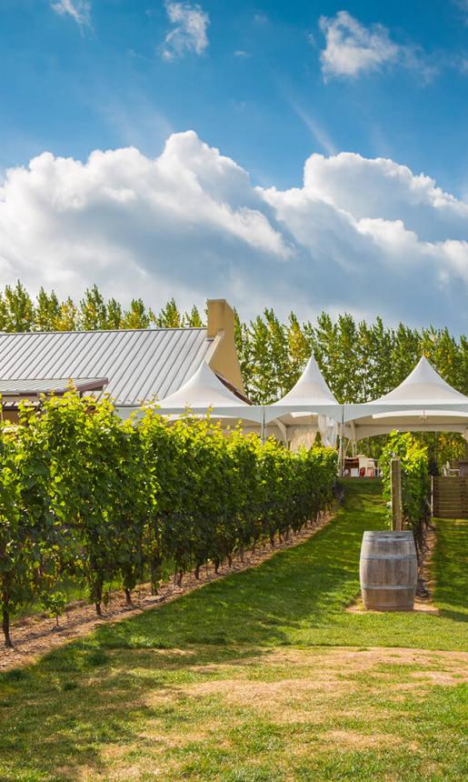 Winery Tours and Tastings