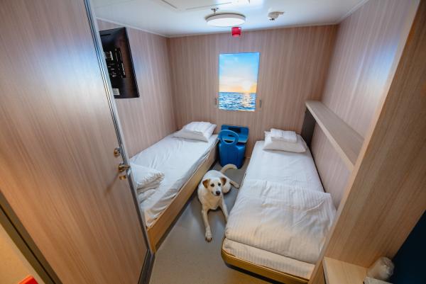 Two bed, pet-friendly cabin on the Ala'suinu 
